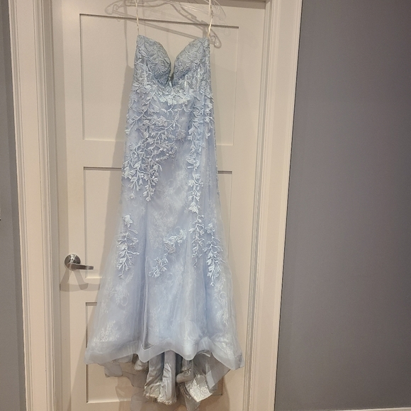 Prom/Evening Gown - Picture 10 of 11